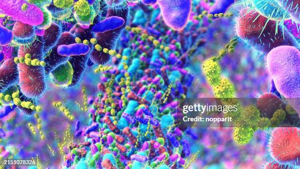 bacteria-in-human-intestine7103085938755927724.jpg