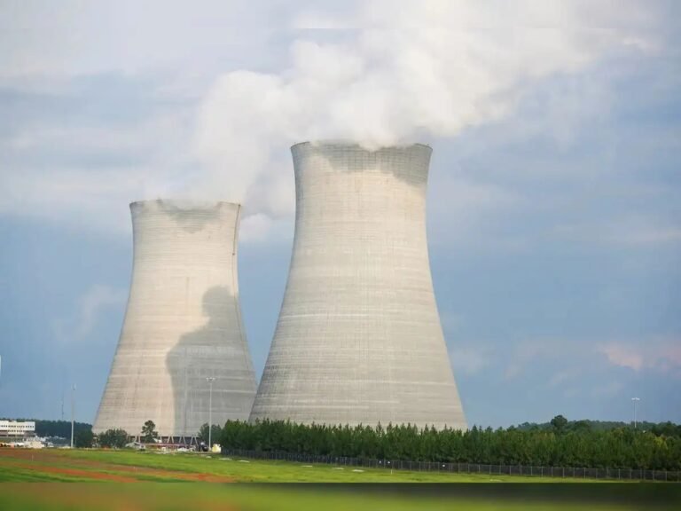 pakistan-atomic-energy-commission-gets-licence-to-construct-largest-nuclear-plant4173743425231110297.jpg